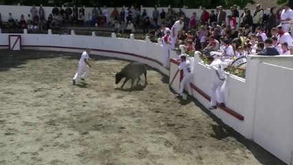 20.06.10 Estibeaux Concours de Cocardes 2e Partie