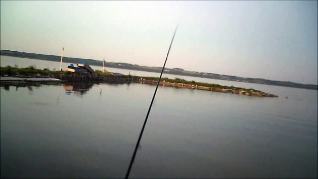 MCH 375 WHAT DO YOU CATCH FISHING 90 PERCENT OF THE TIME AT GULL LAKE ALBERTA.