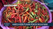 Harga Kebutuhan Pokok Mulai Naik Pasar Induk Lambaro