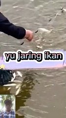 Pasang jaring ,dapat ikan banyak