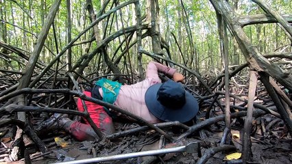 Một Mình Trong Rừng Đước Bắt Cua Gặp Cặp Cua Khủng - Một Cần Giờ