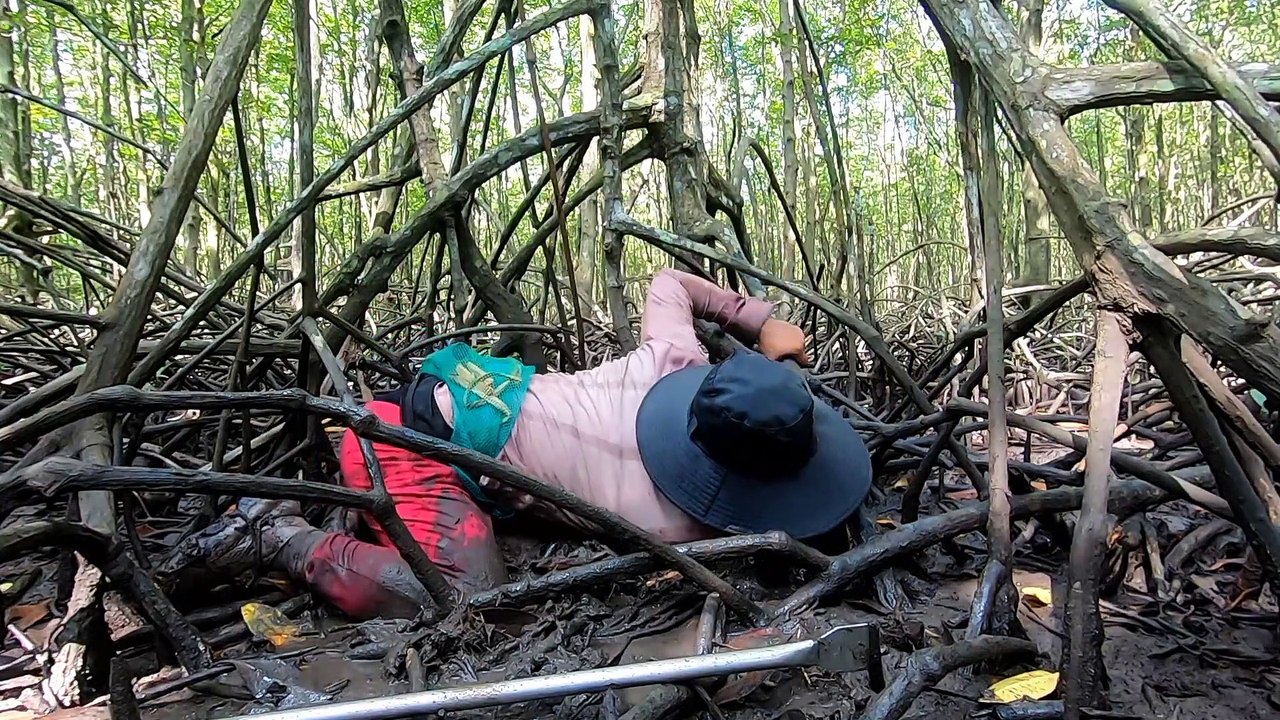 Một Mình Trong Rừng Đước Bắt Cua Gặp Cặp Cua Khủng - Một Cần Giờ