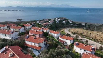 Hurda çamaşır makinesi ve atıklardan "kedi evi" yapıyor