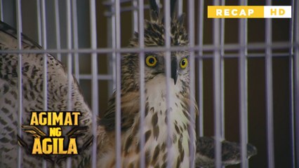 Agimat Ng Agila: The birds save the Major's life! | Episode 2 (Recap)