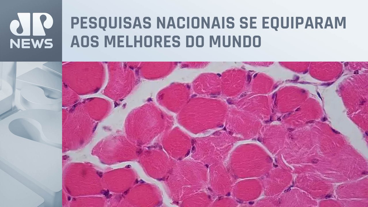 Fabricação de tecidos e órgãos humanos avança no Brasil