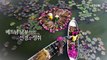 세계테마기행 - 알수록 놀라운, 베트남 남부- 우리들의 파라다이스, 리선섬_#001