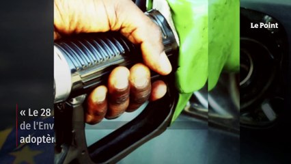Kervasdoué – Fin des moteurs thermiques : la grande ineptie de 2022