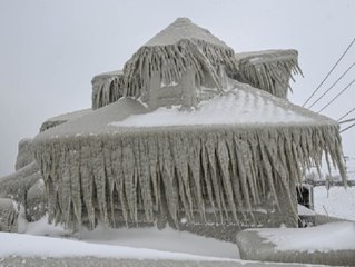 Extremwetter in den USA: Vereiste Restaurants und gefrorene Leguane ❄️