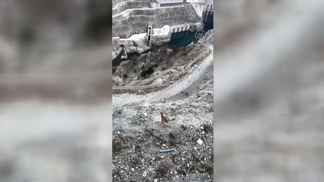 Artvin'de sürü halinde dolaşan yaban keçileri görüntülendi