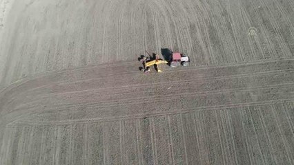 İpsala Ovası'nda tarımsal amaçlı OSB kurulacak