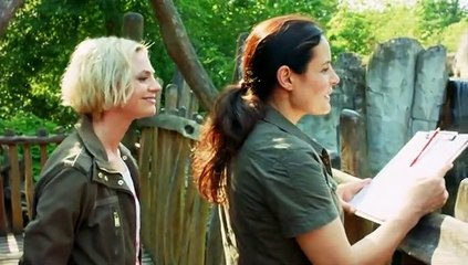 Tierärztin Dr. Mertens Staffel 5 Folge 13