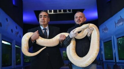 İstanbul’da ele geçirilen 108 kaçak hayvan koruma altına alındı