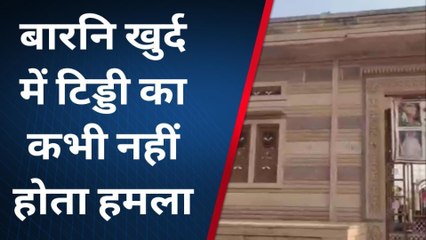 एक जगह ऎसी जहा नही होता कभी भी टिड्डी का हमला