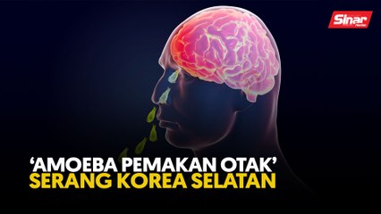 ‘Amoeba pemakan otak’ serang Korea Selatan