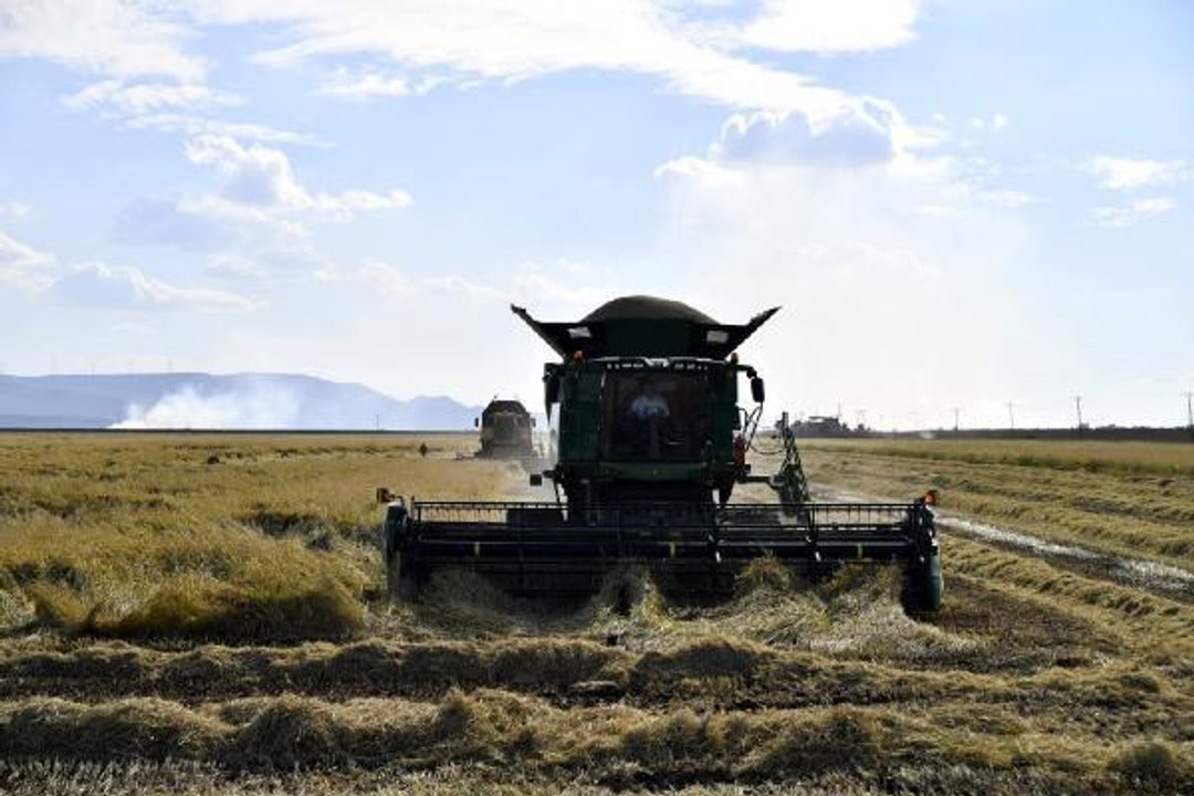 TÜRKİYE'NİN ÇELTİK AMBARI İPSALA'YA TARIMSAL OSB KURULACAK