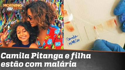 Pitanga, malária, cloroquina