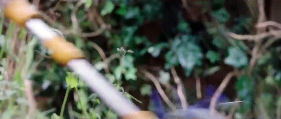 Le Merveilleux Jardin secret de Bella Brown Bande-annonce (IT)
