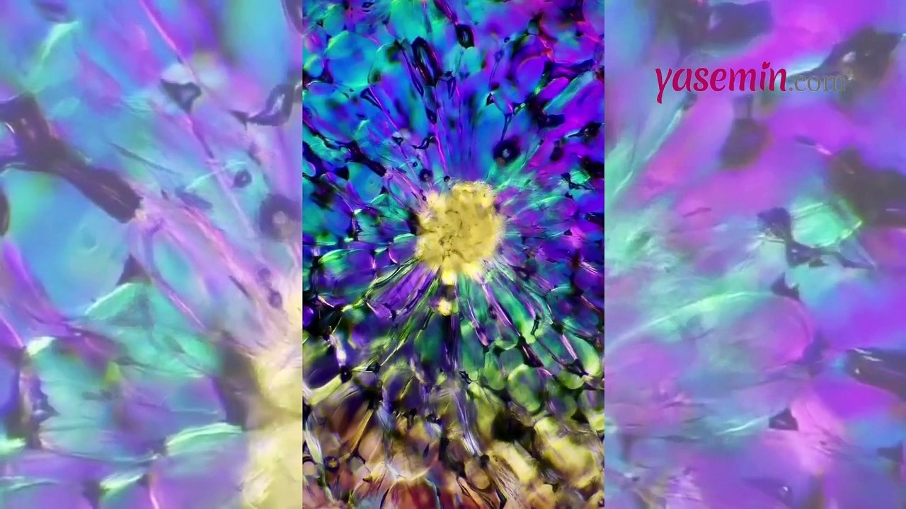 Armudu hiç bu kadar yakından gördünüz mü? Ortaya çıkan görüntülere inanamayacaksınız...