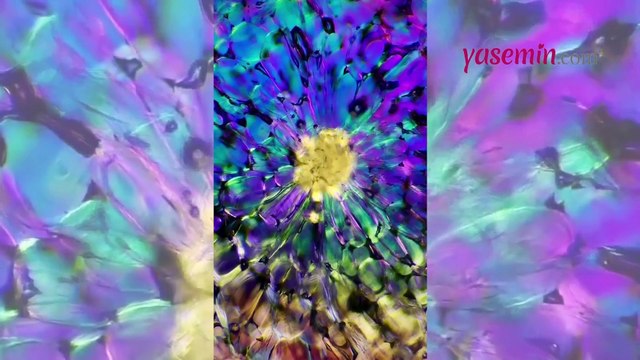 Armudu hiç bu kadar yakından gördünüz mü? Ortaya çıkan görüntülere inanamayacaksınız...