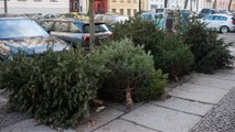 Wer seinen Weihnachtsbaum so entsorgt, riskiert einen Punkt in Flensburg