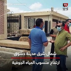 مدينة أثرية في كفر الشيخ.. بوتو عاصمة مصر القديمة