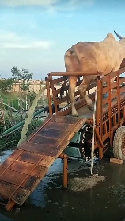 किसान  का  artificial  technology