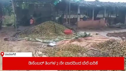 ದಾವಣಗೆರೆ: ಅಡಿಕೆ ಬೆಲೆಯಲ್ಲಿ ಮತ್ತೆ ಸ್ವಲ್ಪ ಏರಿಕೆ