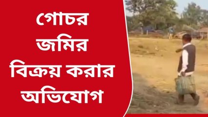 মালদা: জমি মাফিয়াদের কবলে গোচর জমি, অভিযুক্ত তৃণমূল