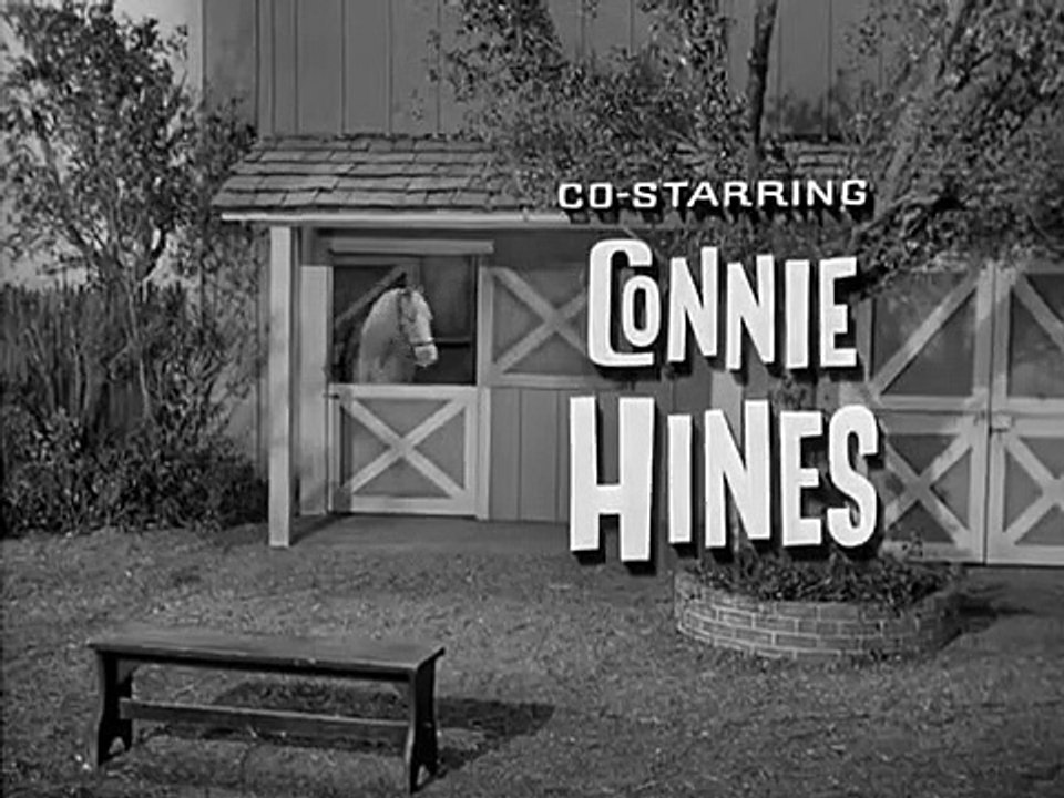 Mister Ed - Se4 - Ep15 HD Watch HD Deutsch