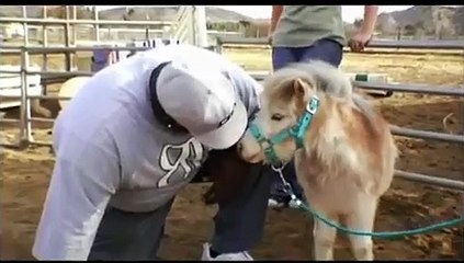 Rob $$ Big Complete - Ep09 HD Watch HD Deutsch