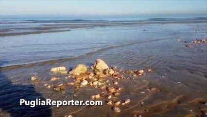 Puglia: spettacolare "bassa marea di Natale"- il mare si ritira per svariati dieci metri a Barletta