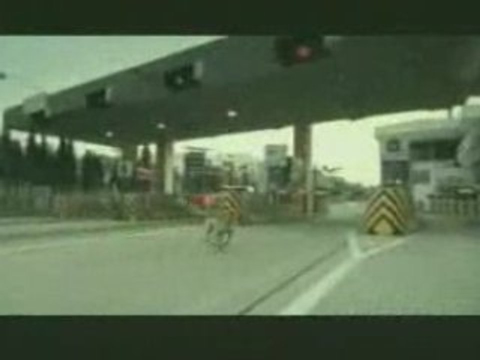 pub bridgestone chien