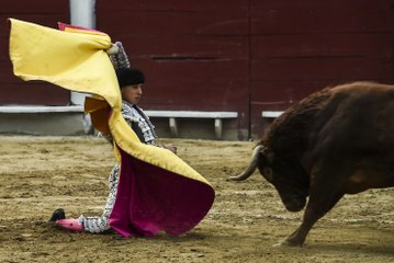 Gobierno ordenó la prohibición de actividades taurinas en la Feria de Cali
