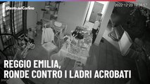 Reggio Emilia, ronde contro i ladri acrobati