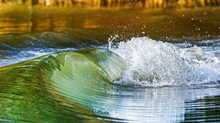 Denuncian mortandad de peces en Santander