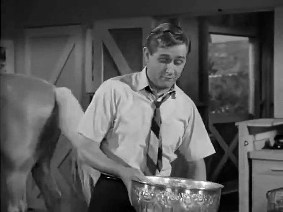 Mister Ed - Se4 - Ep26 HD Watch HD Deutsch