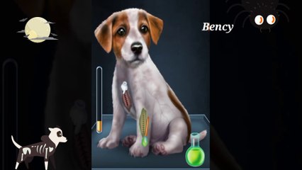 Ghost Dog Surgery Animation ASMR || Bency ASMR