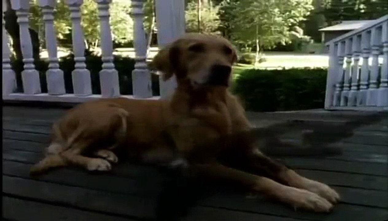 Goosebumps - Se2 - Ep06 - Go Eat Worms HD Watch HD Deutsch