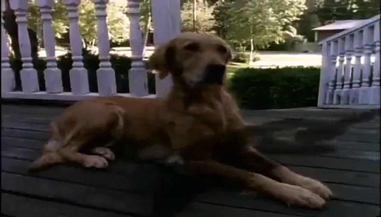 Goosebumps - Se2 - Ep13 - Let's Get Invisible HD Watch HD Deutsch