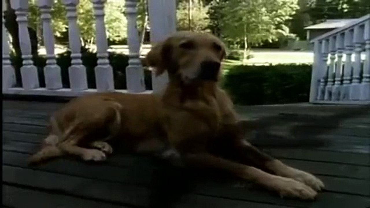 Goosebumps - Se2 - Ep10 - Attack of the Jack-O'-Lanterns HD Watch HD Deutsch