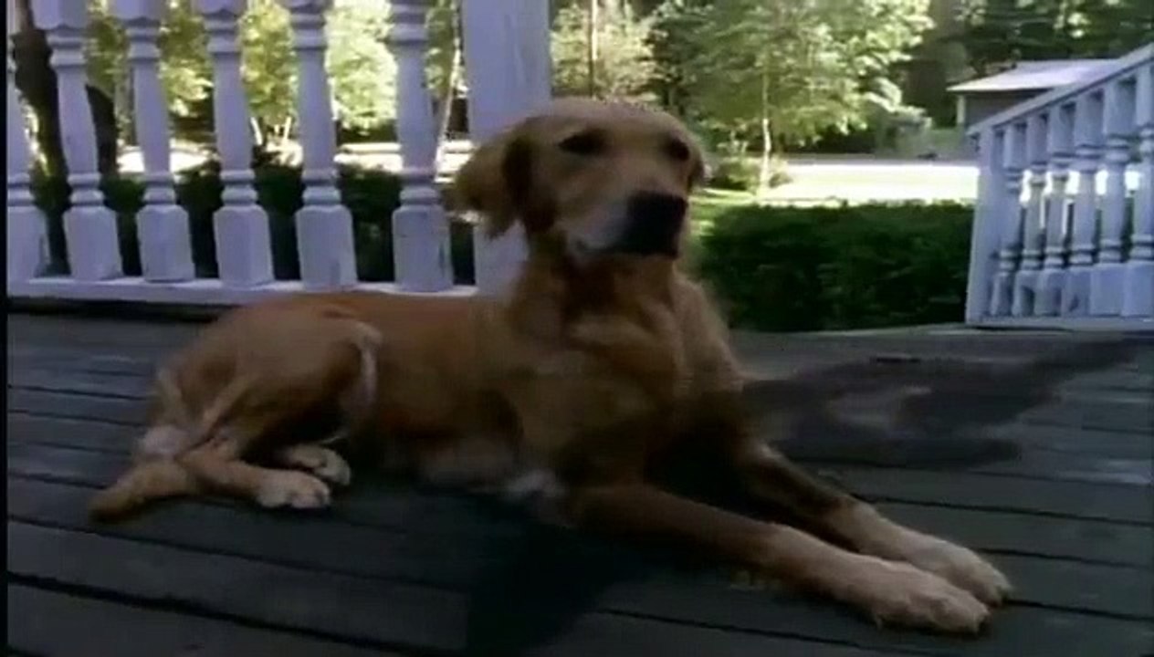 Goosebumps - Se2 - Ep16 - More Monster Blood HD Watch HD Deutsch