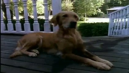 Goosebumps - Se2 - Ep19 - Calling All Creeps HD Watch HD Deutsch