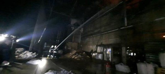 MİLAS'TA BALIK YEMİ FABRİKASINDA YANGIN