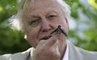 Sir David Attenborough in profile: Broadcaster and Natural World Presenter