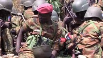 جنوب السودان سيرسل 750 جنديا إلى الكونغو الديموقراطية لمكافحة المتمردين