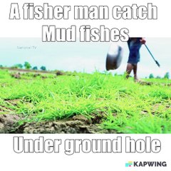 A fisher man catch Mud fishes Under ground hole