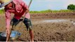 Amazing Mud fishing Under ground Hole catch a lots Fishes at Field by a Fisher man