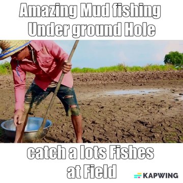 Amazing Mud fishing Under ground Hole catch a lots Fishes at Field by a Fisher man