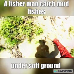 Best Fishing today A fisher man catch mud fishes under soft ground at lake meets hard skins fishes — Kapwing