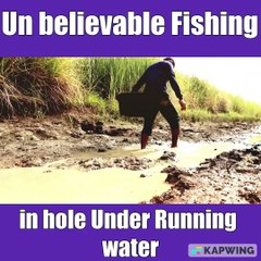 Un believable Fishing video by Hands catch a lot of White catfishes in hole Under Running water